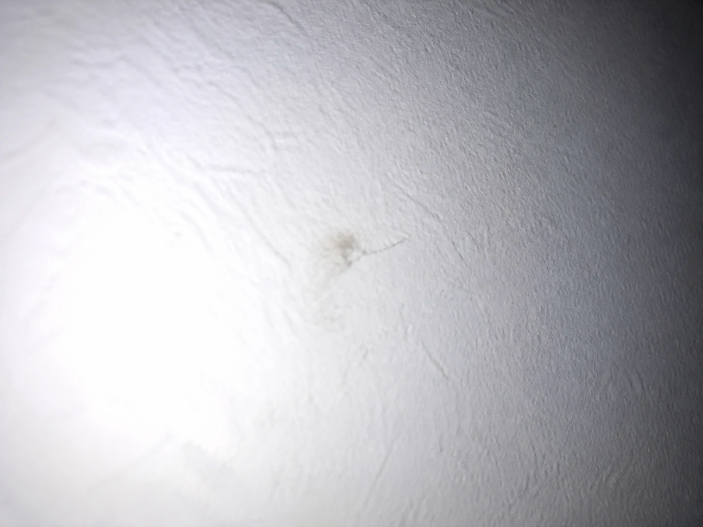 Exemplo ruim: foto muito próxima, com flash estourado e sem contexto